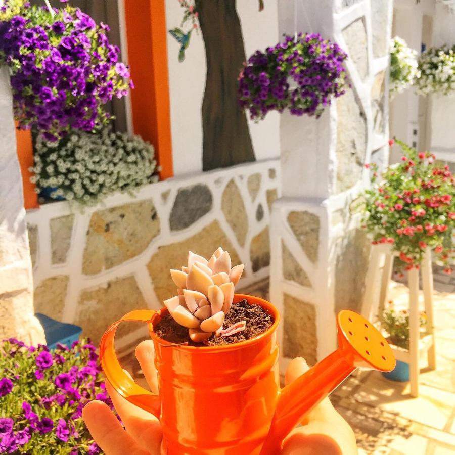 Bodrum Sade Pension Екстериор снимка